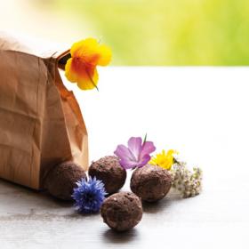 Seed bombs