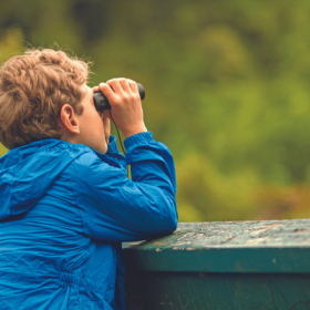 boy birdwatching