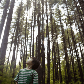 boy looking up at trees