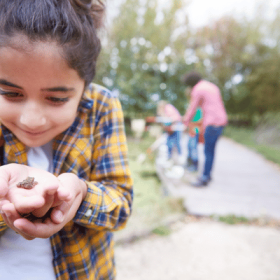 pond dipping