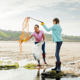 beach clean