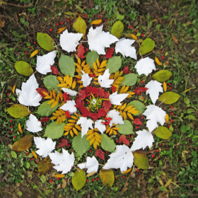 leaf mandala